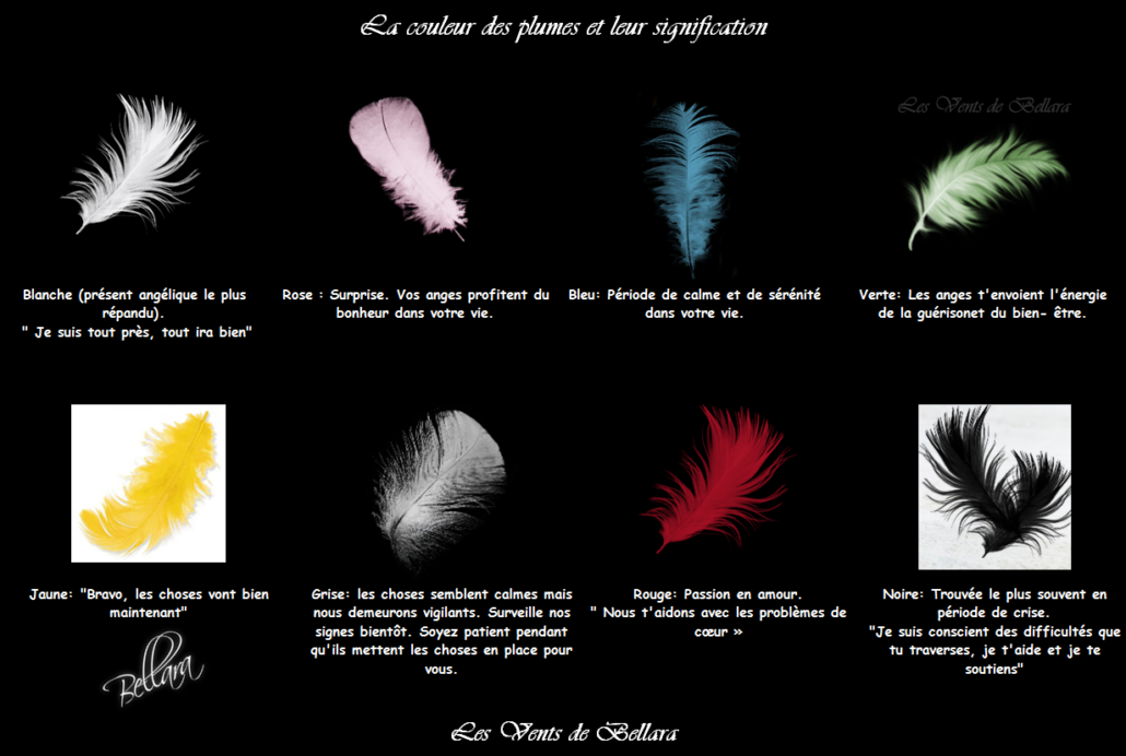 Signification des plumes